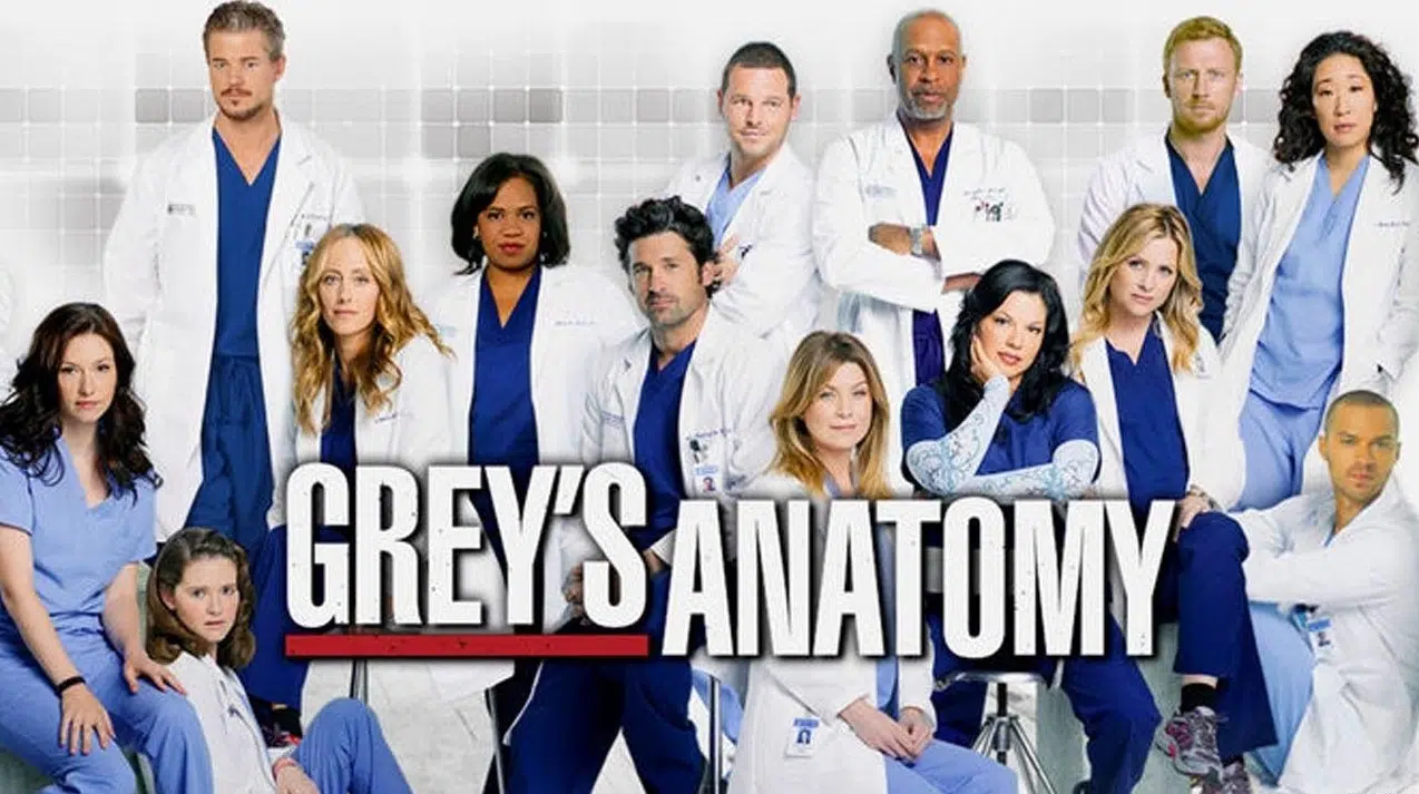 Grey’s Anatomy saison 18 : un acteur de Newport Beach rejoint le casting